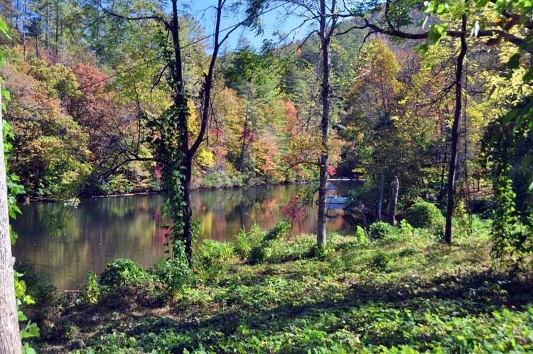 lake scene